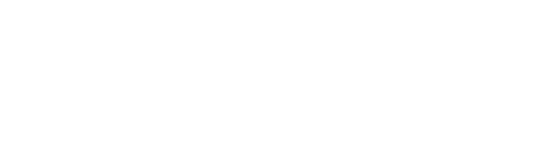 The Parachute Testers Logo