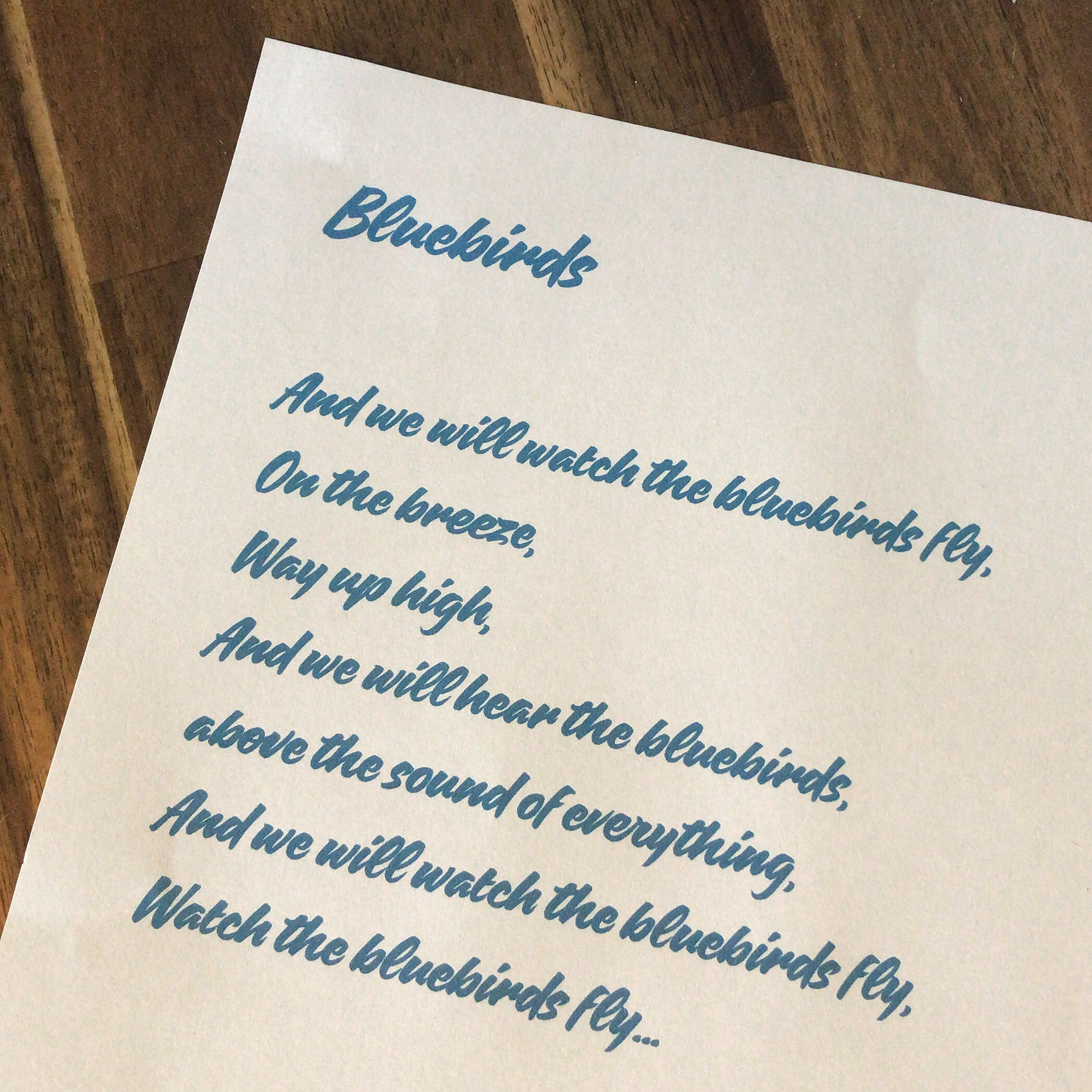 Written lyrics for the song 'bluebirds' by The Parachute Testers